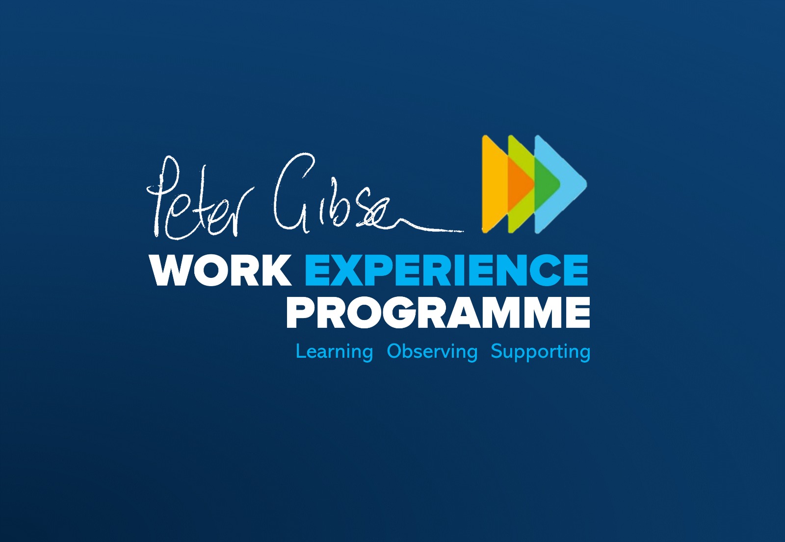 Work Experience Logo 